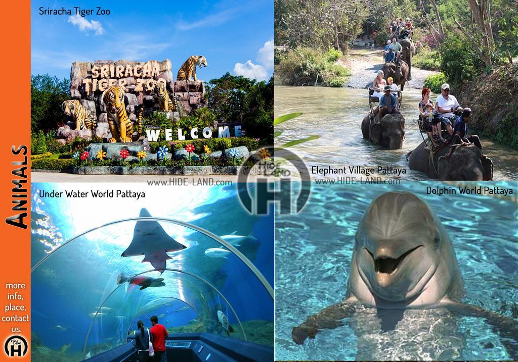 Hideland - The Luxury Tropical Villa Pattaya Exterior foto